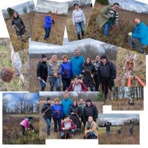 Springbrook Prairie Restoration 